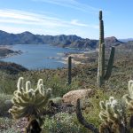 Ladies' Drive to Bartlett Lake