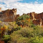 Ladies' Drive to Boyce Thompson Arboretum