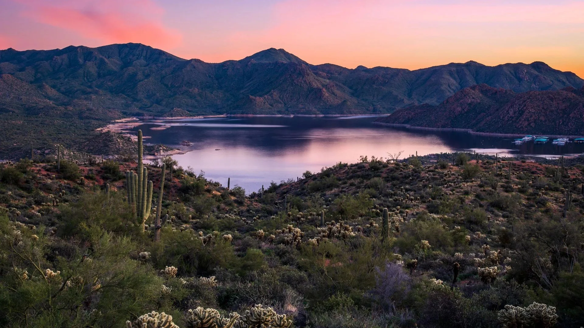 Twilight Dinner Drive to The Cove at Bartlett Lake